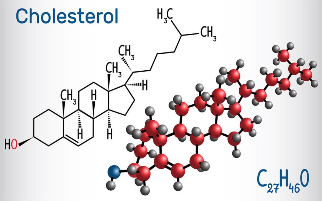 cholesterol molecular structure representation